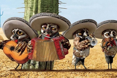 Mariachi Owls   Rango Wallpapers   Cartoon Wallpapers