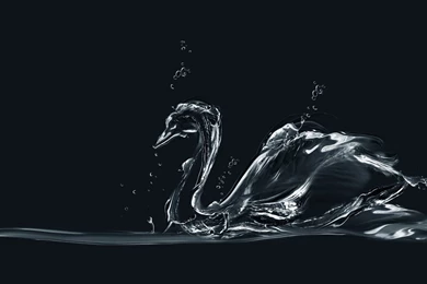 Triple Monitor Multi Multiple Screen Eau Water Art Animal ...