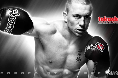 Gsp Mma Hd Wallpapers