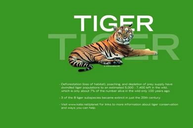 Kate.net Planet   Green, Environmental, And Wildlife Wallpapers