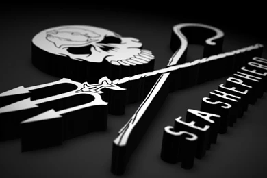 Download Sea Shepherd Whale Wars The Conservation Wallpapers ...