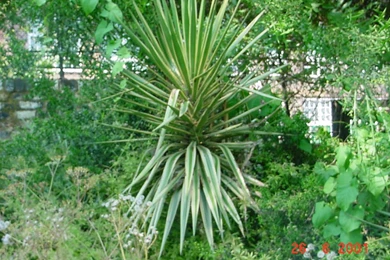 Nature Conservation 27 Wide Wallpapers   Hivewallpaper.com