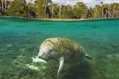 Wallpapers The Conservation Fund Page 4