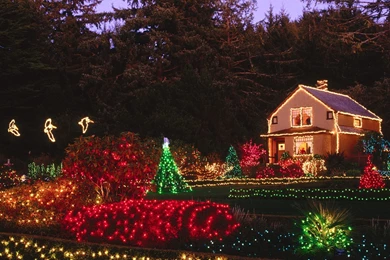 30 Pictures Of Christmas Pictures