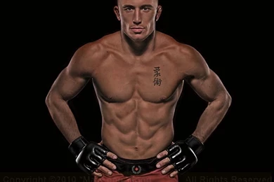 GSP, Georges St Pierre By MayFong On DeviantArt