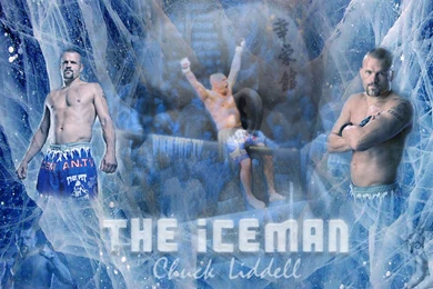 Free Wallpapers   Fightlinker.com