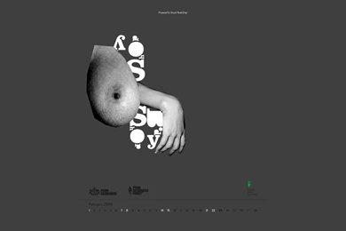 T drom: Download "February" From PoorDesigners' 2009 Low Energy ...