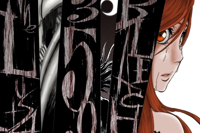 ORIHIME INOUE WALLPAPER   (