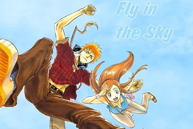 Ichigo & Orihime   Orihime Inoue Wallpapers (25030120)   Fanpop
