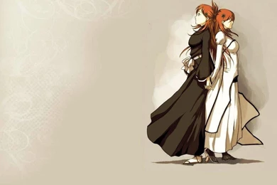 Bleach Inoue Orihime Wallpapers   (