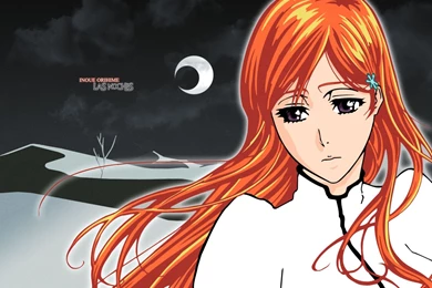 ORIHIME   Bleach Anime Photo (33136243)   Fanpop