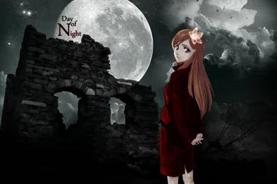 Bleach Studio Pierrot Series Orihime Inoue Character HD Desktop ...