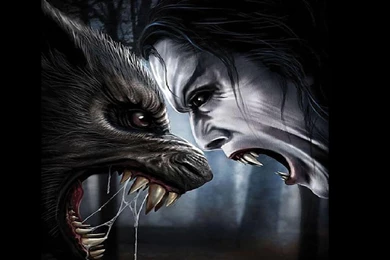Werewolf Vs Vampire   (