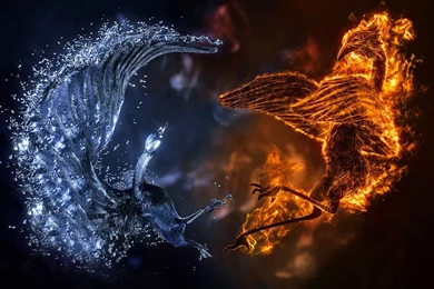 3D WALLPAPER STAY029