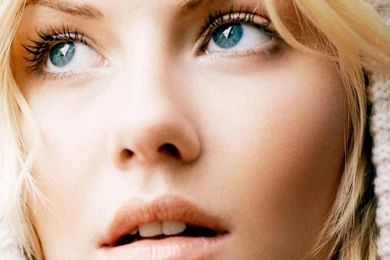 Valentine Day 2014: Wallpapers Jack Bauer