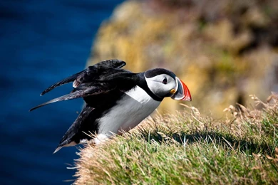 Most Amazing Love Pictures   Wallpapers HD Base