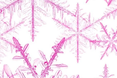 Wallpapers On Pinterest