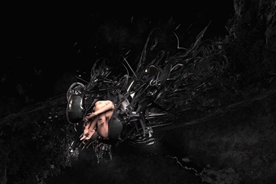 Download Birth In The Matrix Wallpapers 1920x1200