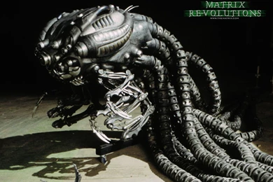 The Matrix Revolutions The Matrix HD Lovely Wallpapers Free HD ...