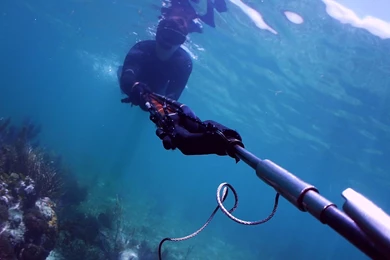 Spearfishing Float Package, Spear Fishing