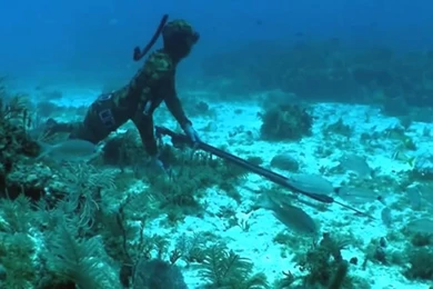 Kills Beautiful Spearfishing (9 Shot)   YouTube