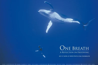 Downloads :: One Breath, A Reflection On Freediving