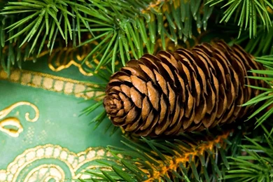 Photography   Page 128