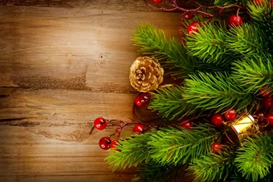 Holidays Christmas ( New Year ) Branches Pine Cone Wallpapers ...