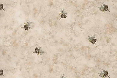 Brown Pine Cone Wood Wallpapers Border   Interior Home Decor