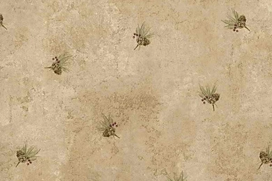 Brown Pine Cone Wood Wallpapers Border   Interior Home Decor