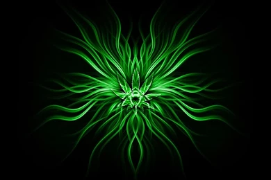 Wallpapers Smoke Weed Girls Hd 1024x768