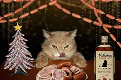 Happy Christmas Cat :) >> HD Wallpaper, Get It Now!