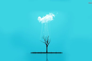 Alive Wallpapers   Digital Art Wallpapers