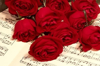 Romance Love Pictures   HD Wallpapers Lovely