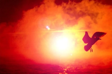 Romance Love Wallpapers 14 Desktop Wallpapers   Hdlovewall.com