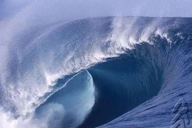 Sarge's Daily Surf   Wallpapers