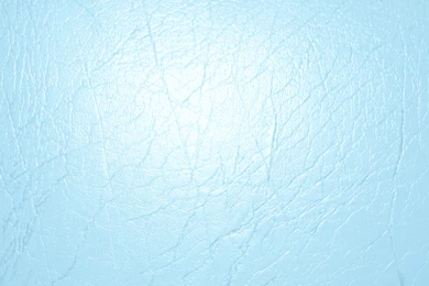 Baby Blue Leather Texture Picture