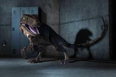 Velociraptor Jurassic Park Wallpapers