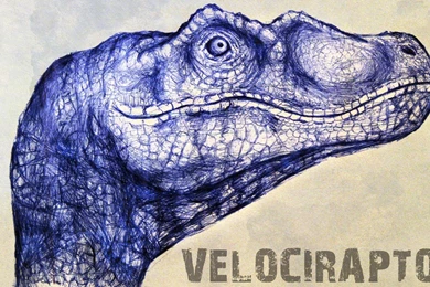 Velociraptor >> HD Wallpaper, Get It Now!
