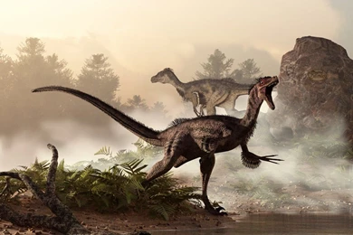 Velociraptors   DeviantArt