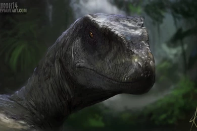 Velociraptor By Raikoh illust On DeviantArt