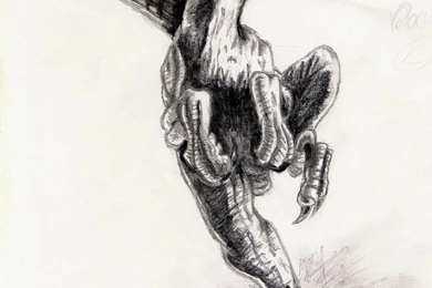 Velociraptor By Siroka On DeviantArt