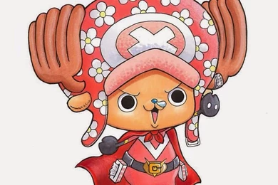 One Piece Chopper On Pinterest