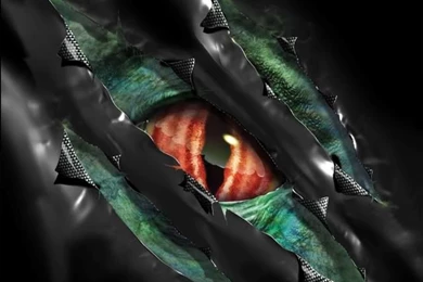 Download Velociraptor Wallaper Torrent   Kickass Torrents