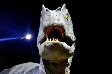 Dinosaurs: Raptor Jurassic Velociraptor Dinosaurs Csh 4516 ...