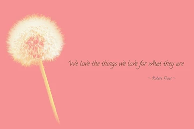 We Love The Things We Love For... Wallpapers