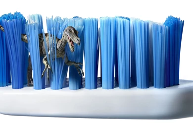 152 Dinosaur HD Wallpapers