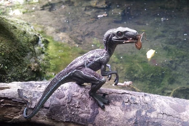 Chiavari   DeviantArt