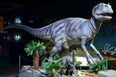Dinosaurs: Velociraptor Jurassic Dinosaur Raptor Csh 4520 Free ...