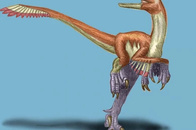 Velociraptor Drawings Hd Wallpapers   (